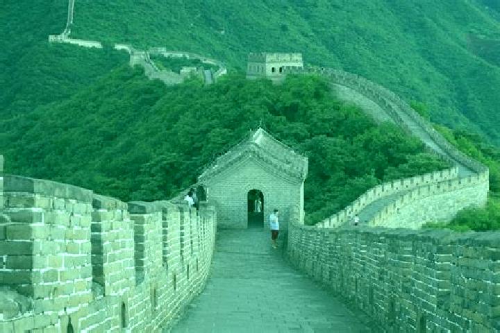 escort Zhangfang