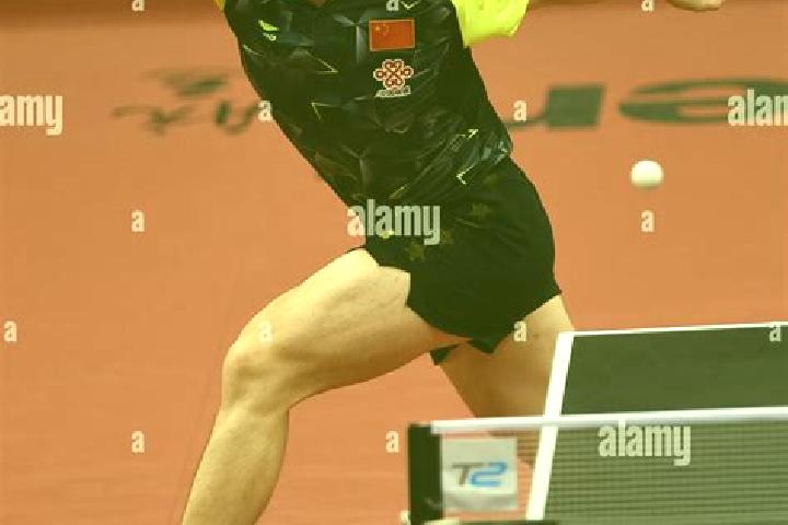 escort Zhendong