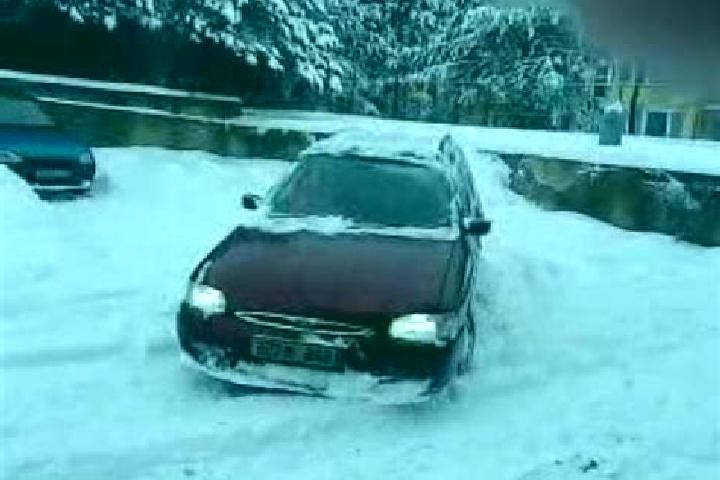 escort Zima