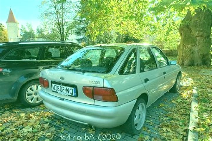 escort Znamenskoye