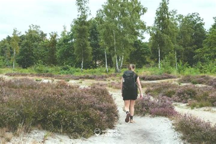 escort Zonhoven