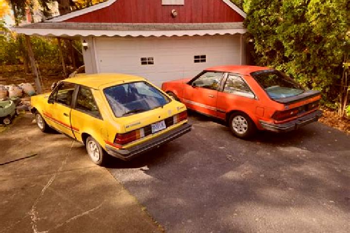 escort Zoniana