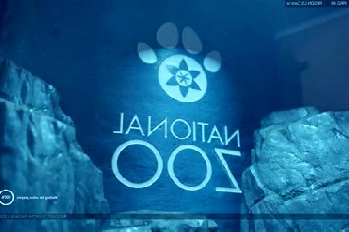 escort Zoo