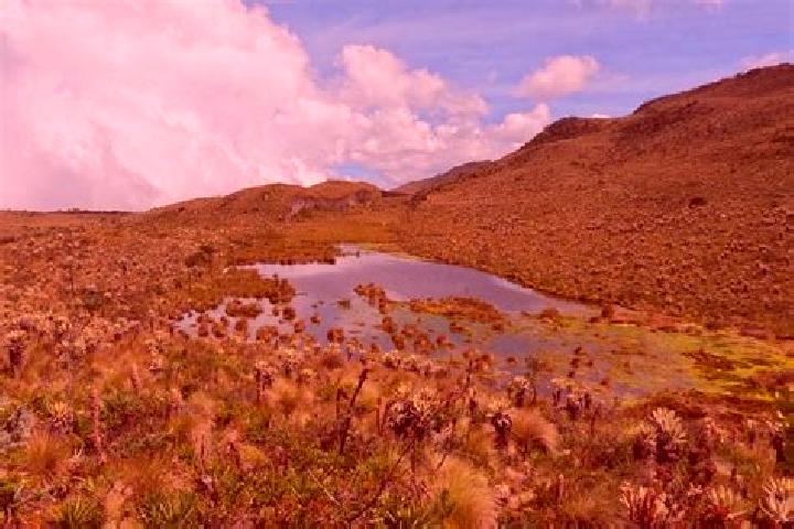 escort Zotes del Paramo