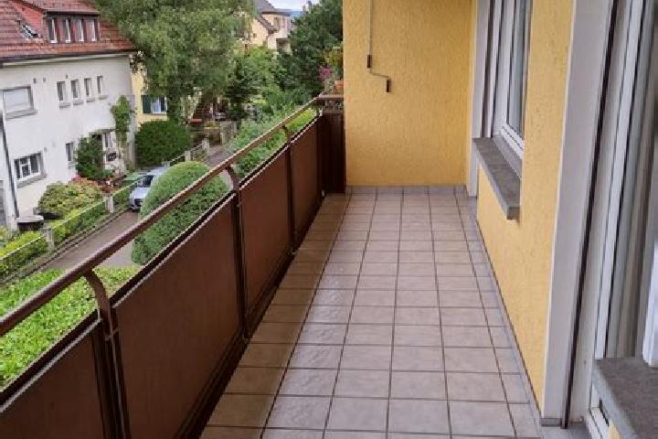 escort Zuerich (Kreis 10) / Hoengg