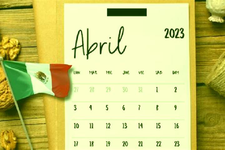 Escorts 10 de Abril, Mexico — Local Companions