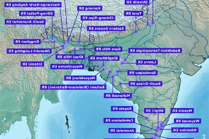Escorts 3 B, India — Local Companions