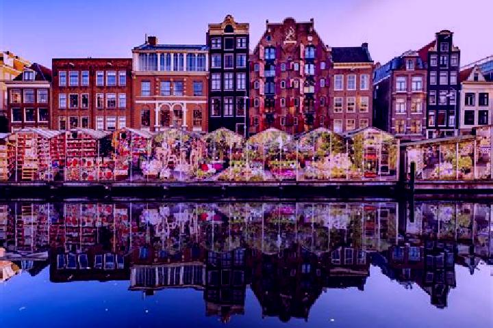 Escorts Aalsmeer, Netherlands — Local Companions