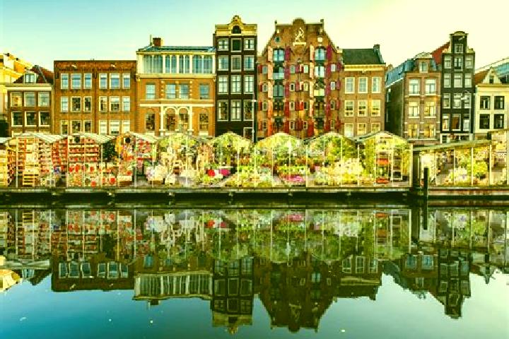 Escorts Aalsmeerderbrug, Netherlands — Local Companions
