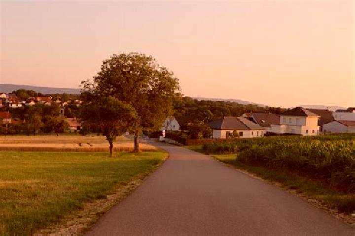 Escorts Abbevillers, France — Local Companions