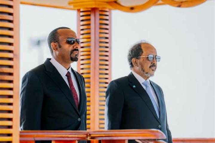 Escorts Abiy Adi, Ethiopia — Local Companions