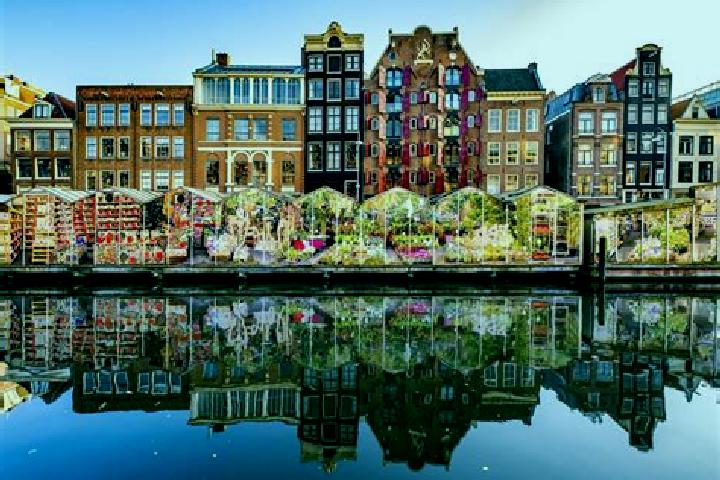 Escorts Achterberg, Netherlands — Local Companions