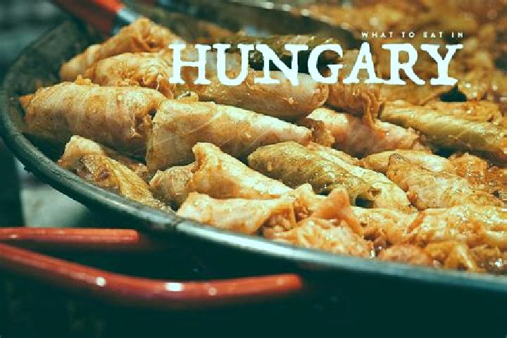 Escorts Agfalva, Hungary — Local Companions