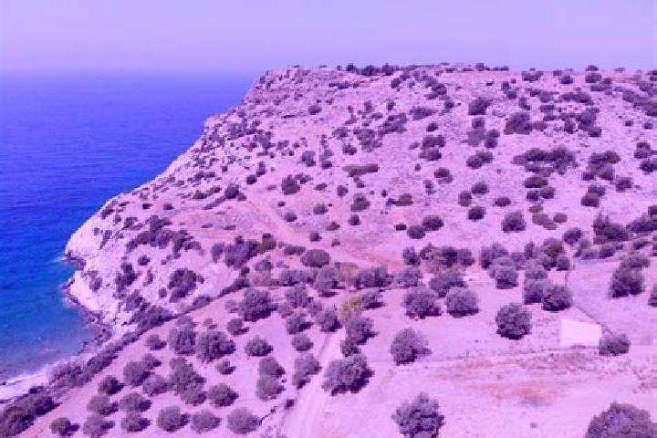Escorts Agios Vasileios, Greece — Local Companions