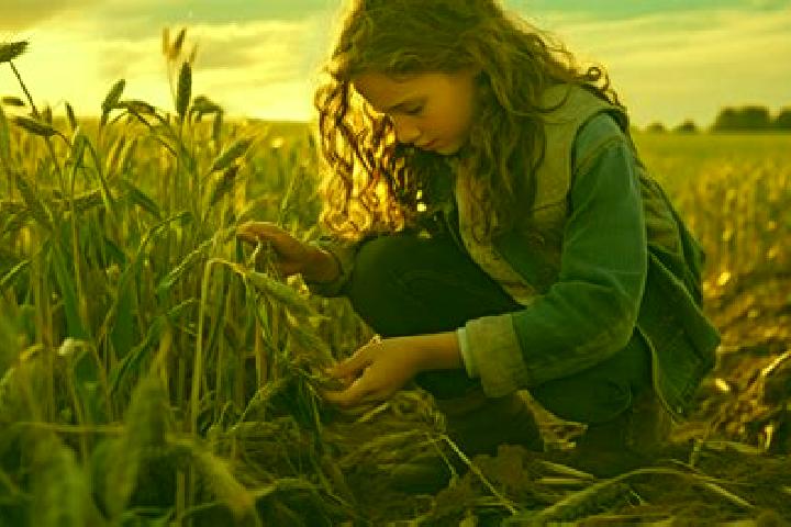 Escorts Agronom, Russia — Local Companions