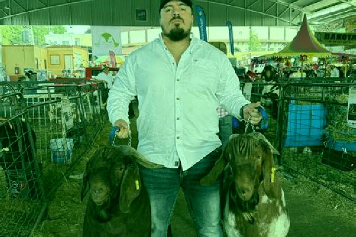 Escorts Agua Azul Rancho, Honduras — Local Companions