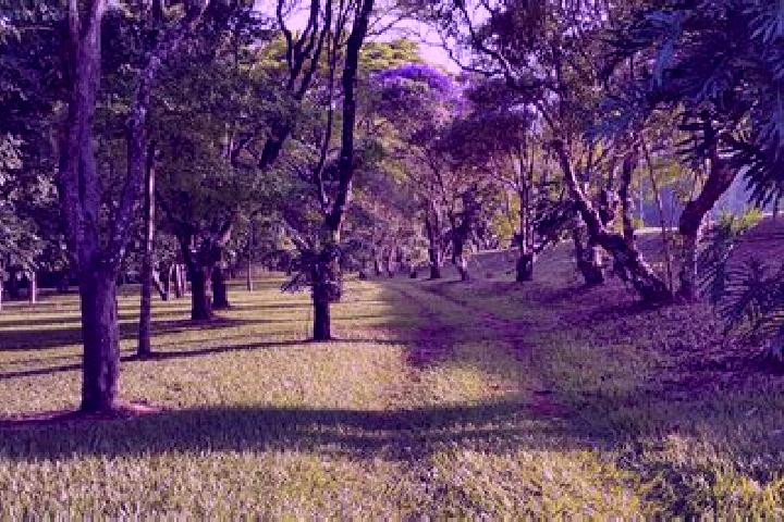 Escorts Agudos, Brazil — Local Companions
