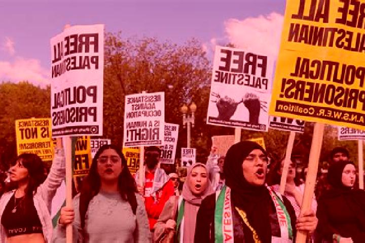 Escorts Al Buwayrah, Palestine — Local Companions