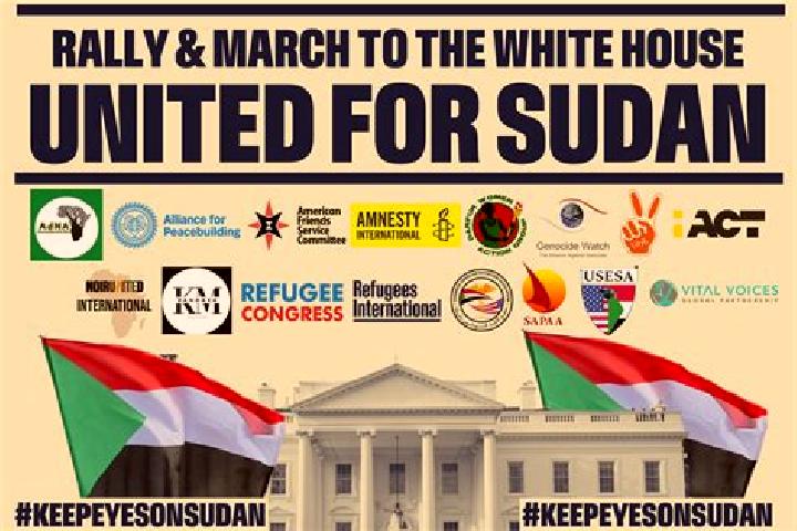 Escorts Al-Faw, Sudan — Local Companions
