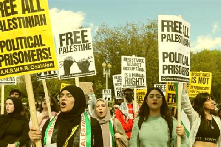 Escorts Al Fukhkhari, Palestine — Local Companions