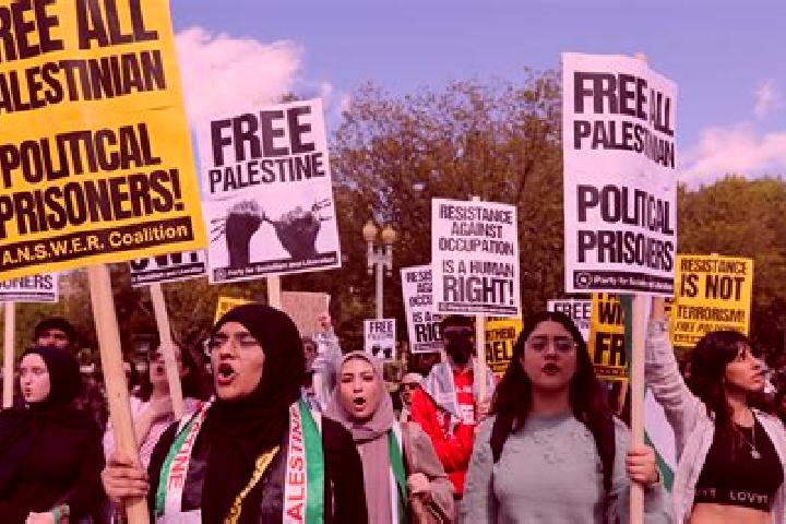 Escorts Al Jalamah, Palestine — Local Companions