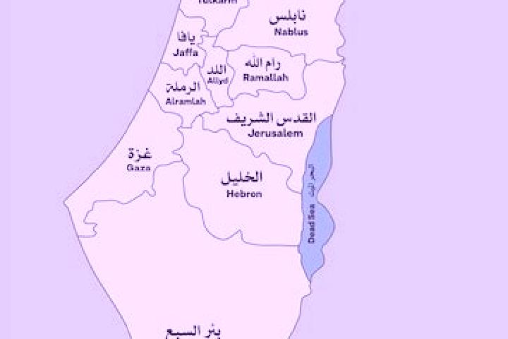 Escorts Al Jib, Palestine — Local Companions