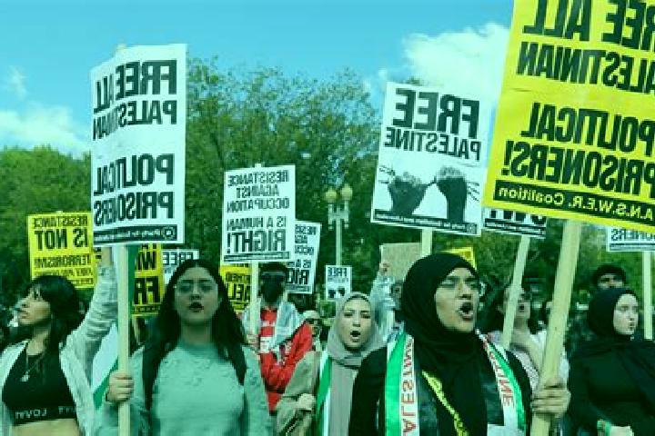 Escorts Al Karmil, Palestine — Local Companions