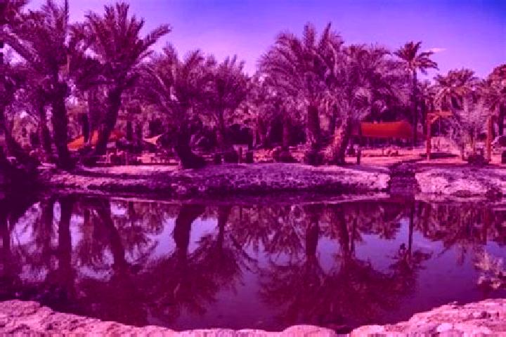 Escorts Al-Kharijah, Egypt — Local Companions