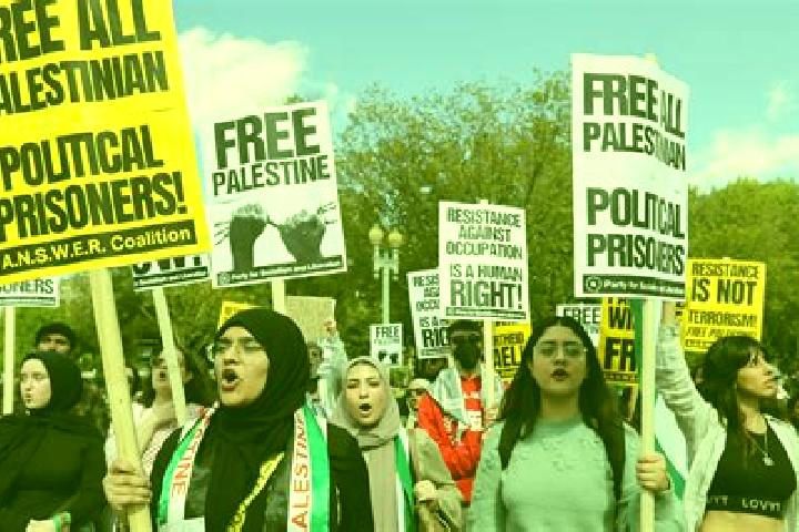 Escorts Al Ma sarah, Palestine — Local Companions