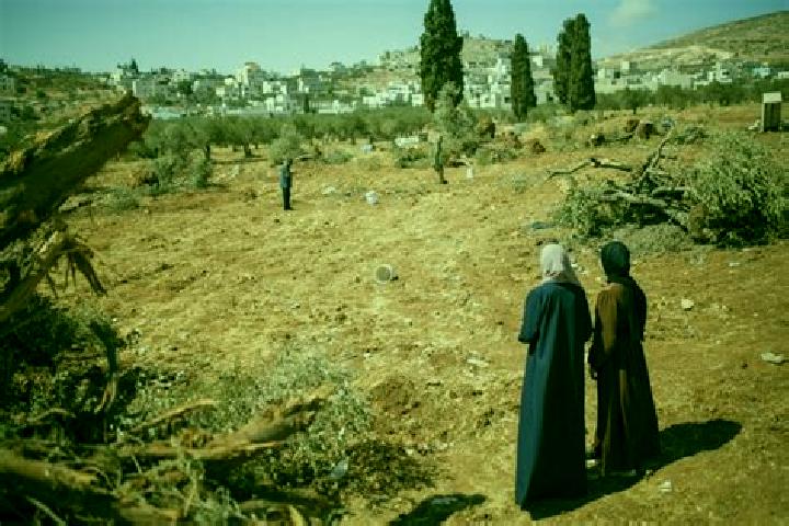 Escorts Al Mughayyir, Palestine — Local Companions