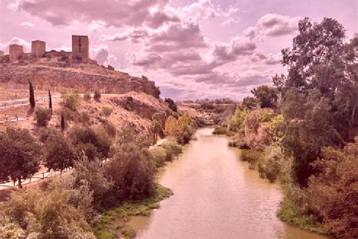 Escorts Alcala del Rio, Spain — Local Companions