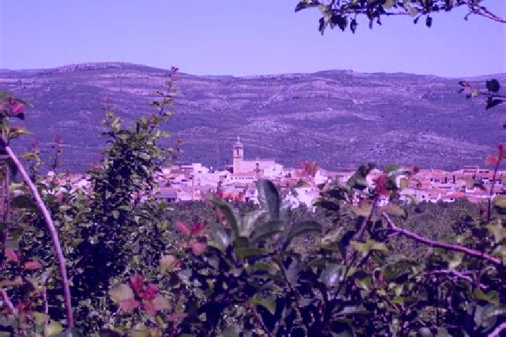 Escorts Alcoletge, Spain — Local Companions