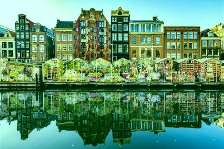 Escorts Aldeboarn, Netherlands — Local Companions