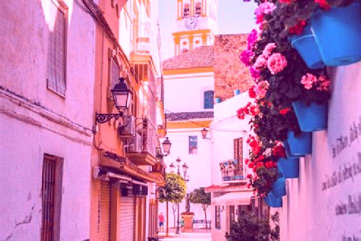 Escorts Alfafara, Spain — Local Companions