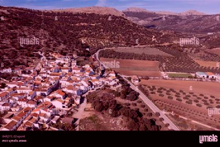Escorts Alfarnatejo, Spain — Local Companions