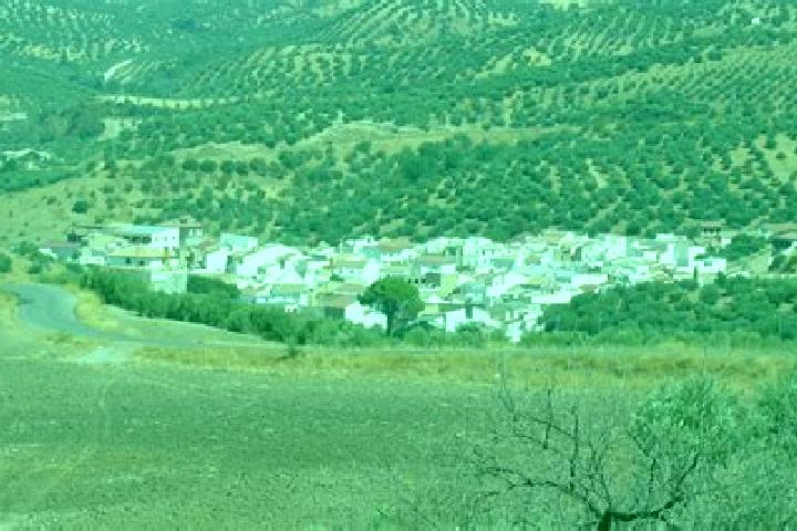 Escorts Algamitas, Spain — Local Companions