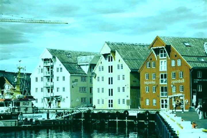 Escorts Algard, Norway — Local Companions