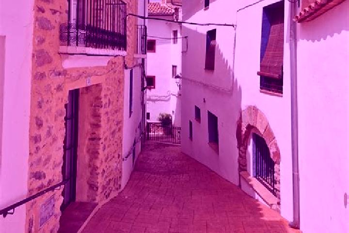 Escorts Algimia de Almonacid, Spain — Local Companions
