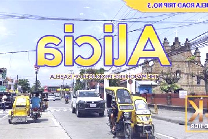 Escorts Alicia, Philippines — Local Companions