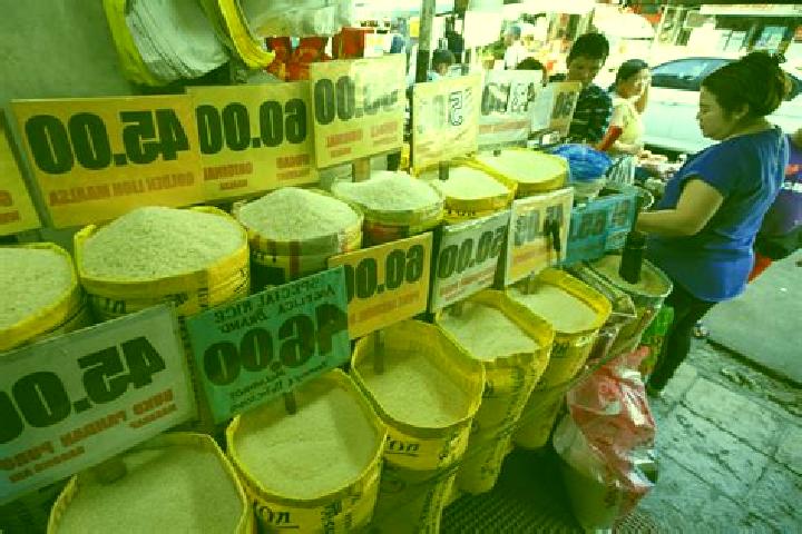 Escorts Alimono, Philippines — Local Companions