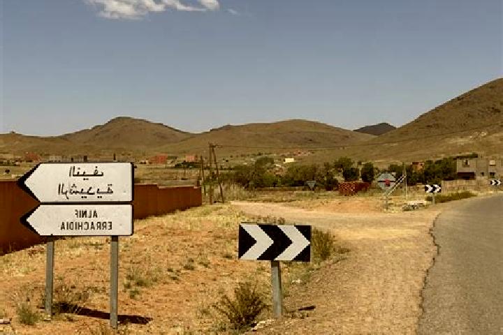 Escorts Alnif, Morocco — Local Companions