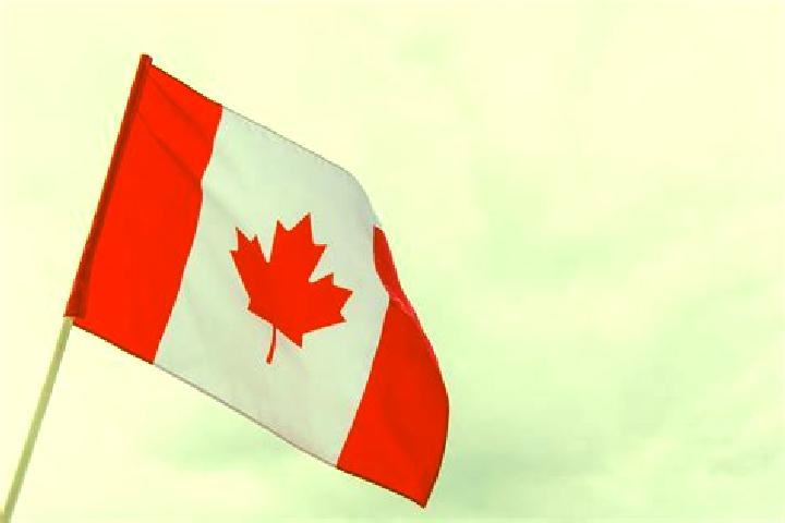 Escorts Alnwick, Canada — Local Companions