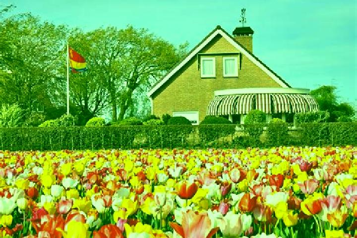 Escorts Alphen, Netherlands — Local Companions