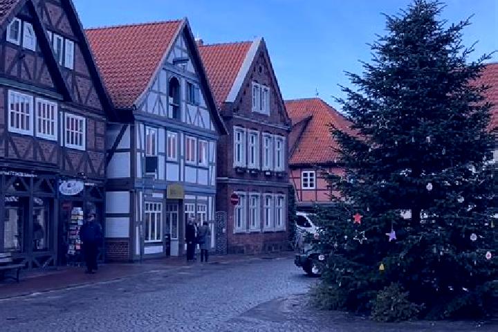 Escorts Alt Brenz, Germany — Local Companions