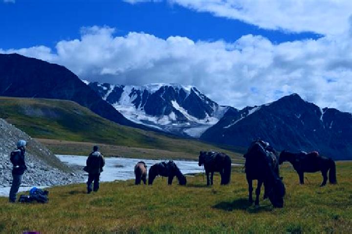 Escorts Altay, Mongolia — Local Companions