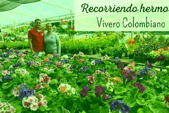 Escorts Alto del Moralito, Mexico — Local Companions