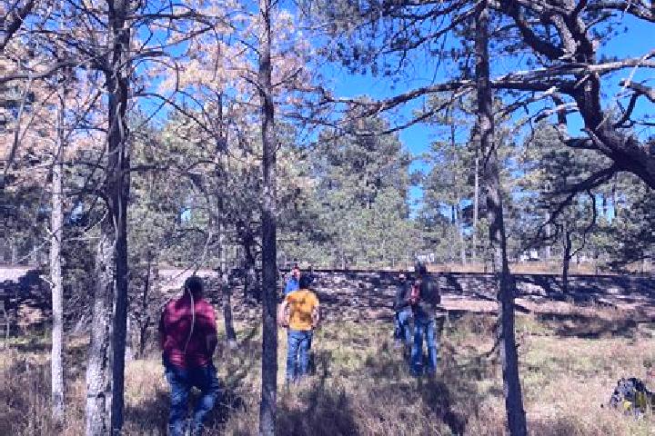 Escorts Altus Bosques, Mexico — Local Companions