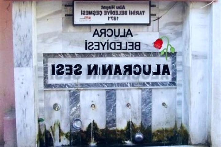 Escorts Alucra, Turkey — Local Companions