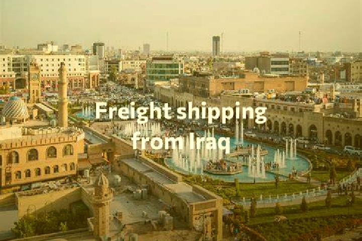 Escorts AlZwya, Iraq — Local Companions