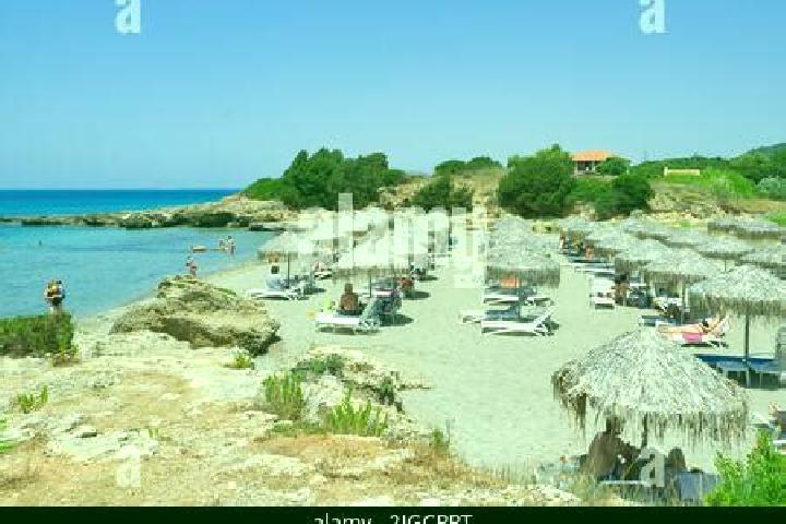 Escorts Amaliada, Greece — Local Companions
